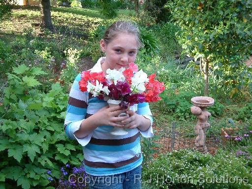 Sweet peas Tori 